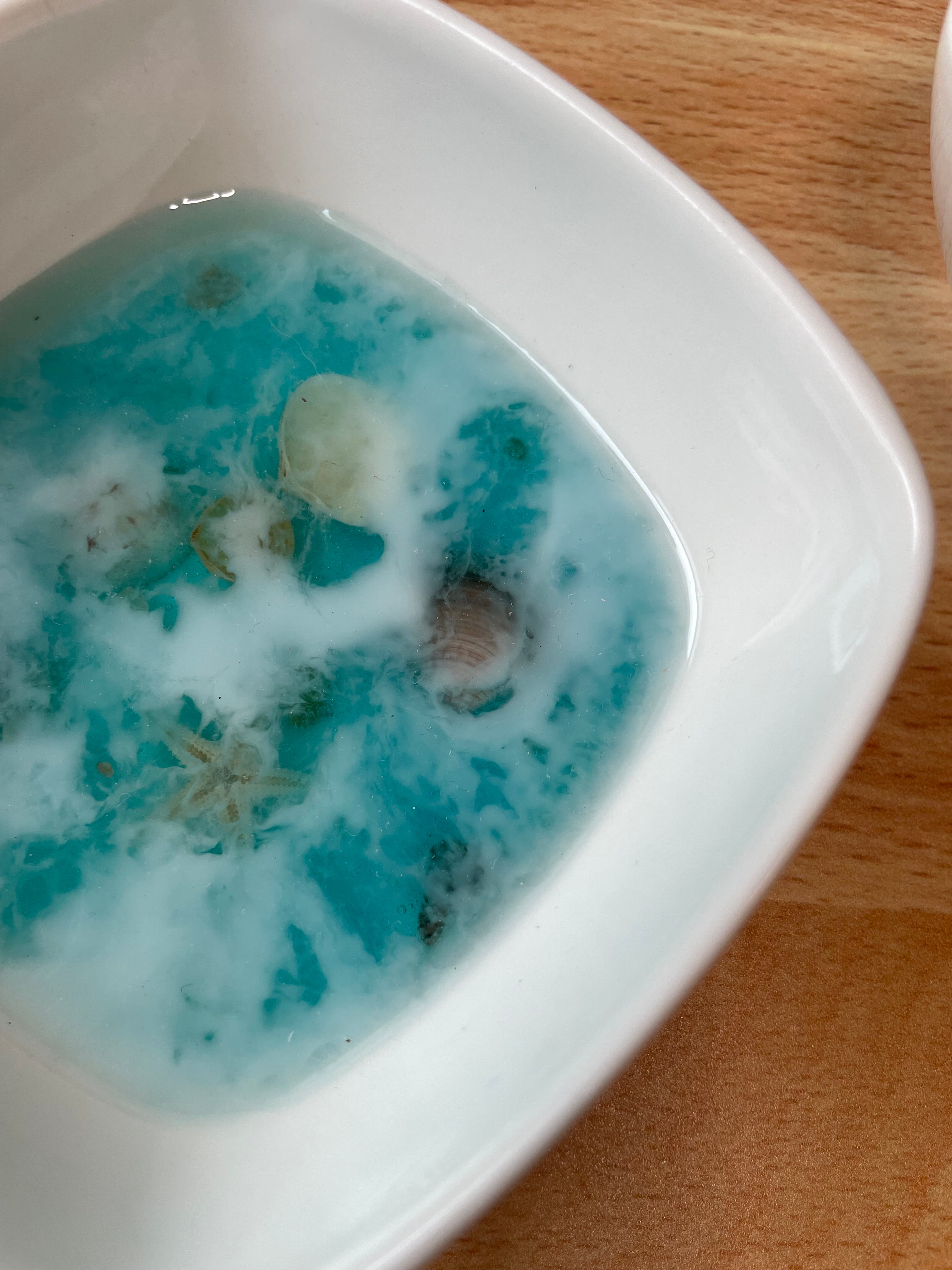 Coastal Calm Trinket Dish Duo – Set of 2- Bundle